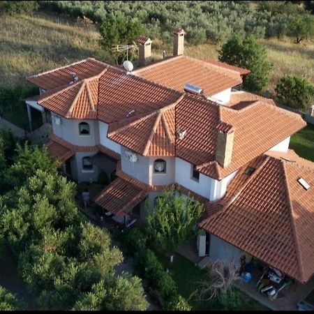 Alice Wonderland Home Nea Flogita Halkidiki Екстериор снимка